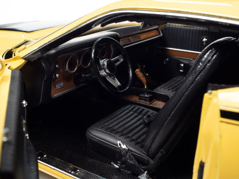 1971 Dodge Charger Super Bee FY1 Top Banana Auto World - Big J's Garage